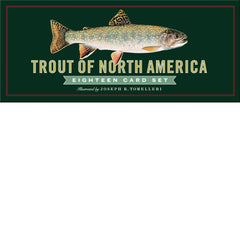 Trout of North America Eighteen Card Set