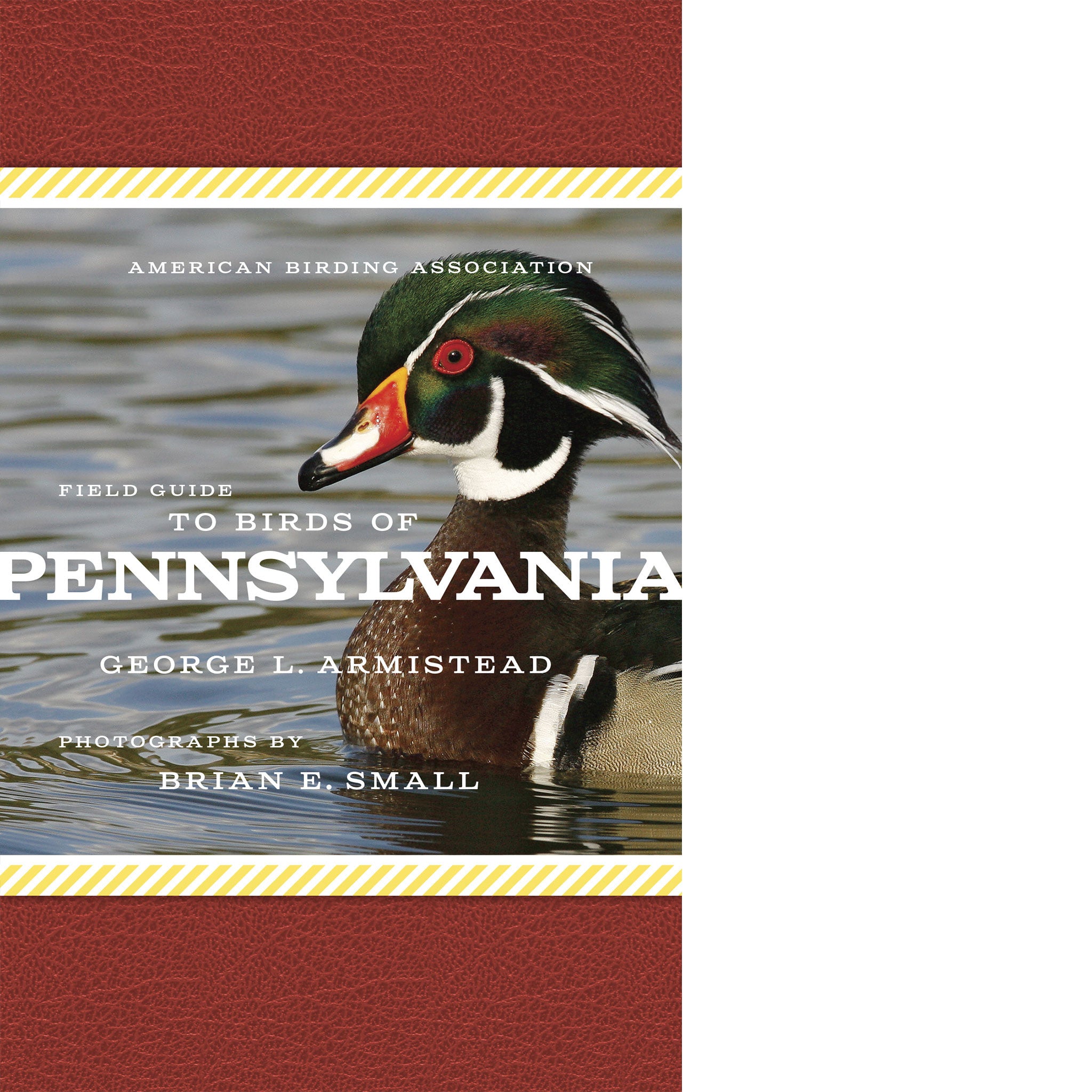 American Birding Association Field Guide to Birds of Pennsylvania