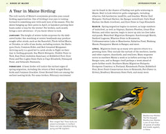 American Birding Association Field Guide to Birds of Maine