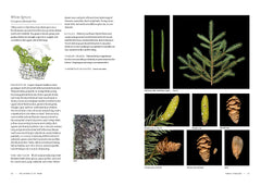 Smithsonian Trees of North America