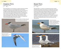 American Birding Association Field Guide to Birds of Florida Second Edition