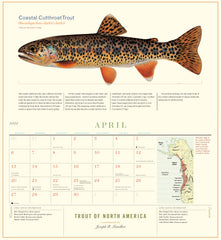 Trout of North America 2025 Calendar