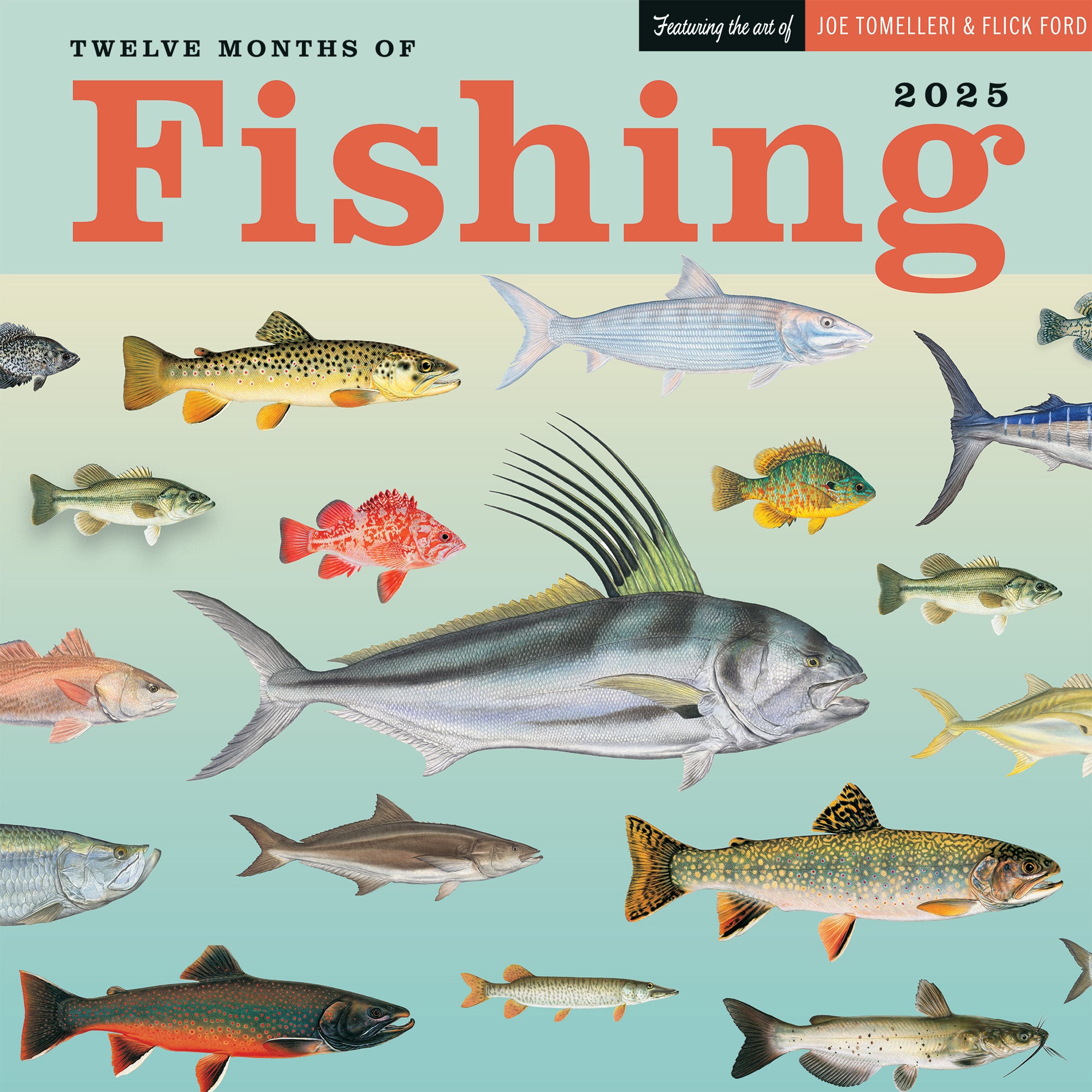 Twelve Months of Fishing 2025