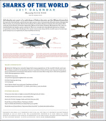 Sharks of the World 2017 Wall Calendar